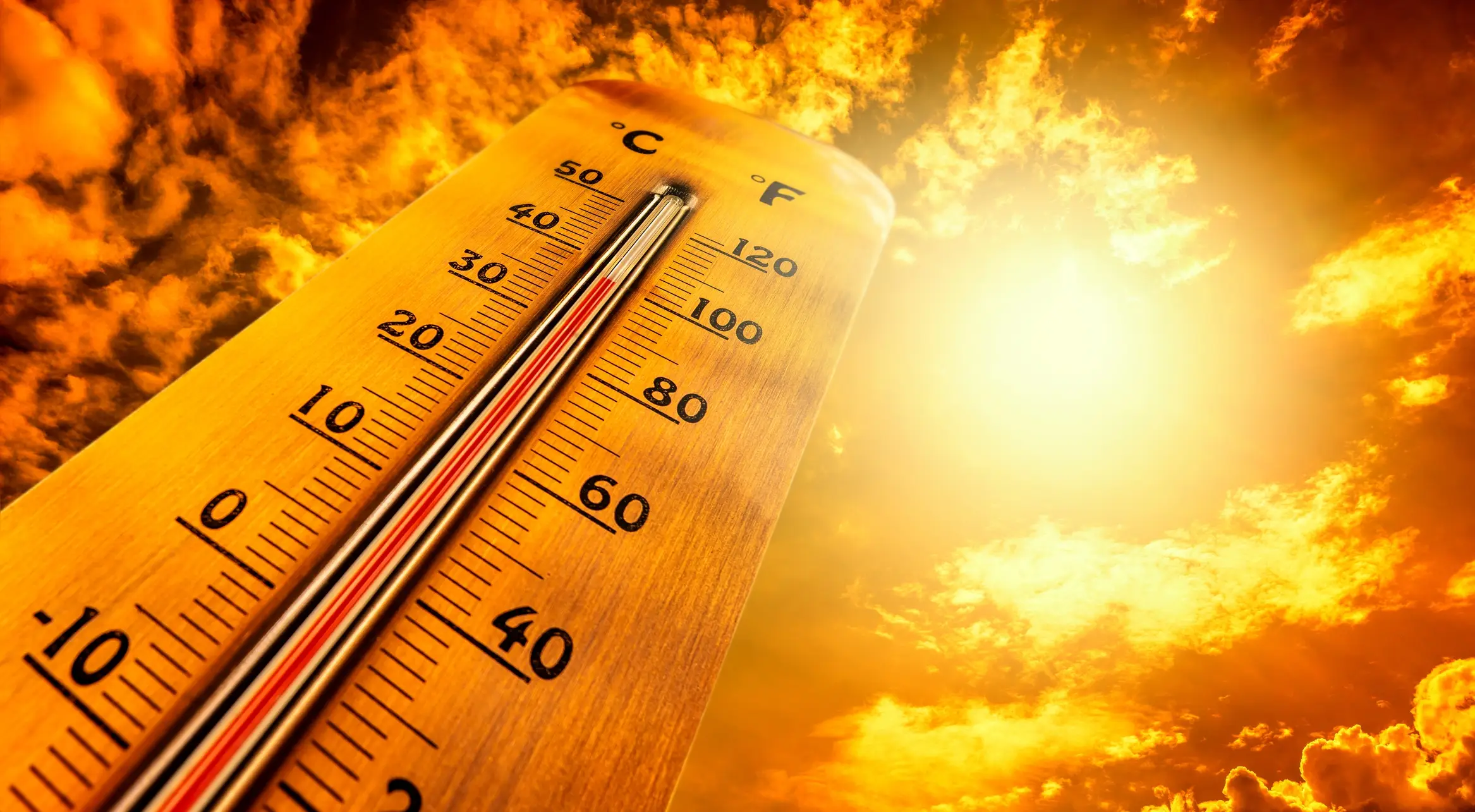 Last year was one of the warmest years the Earth has had on record (SimpleImages/Getty Images)