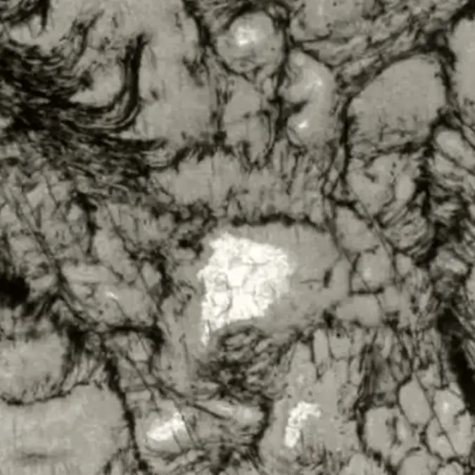 Scientists discover life 'wriggling' inside 3,300,000,000 year-old-rock 