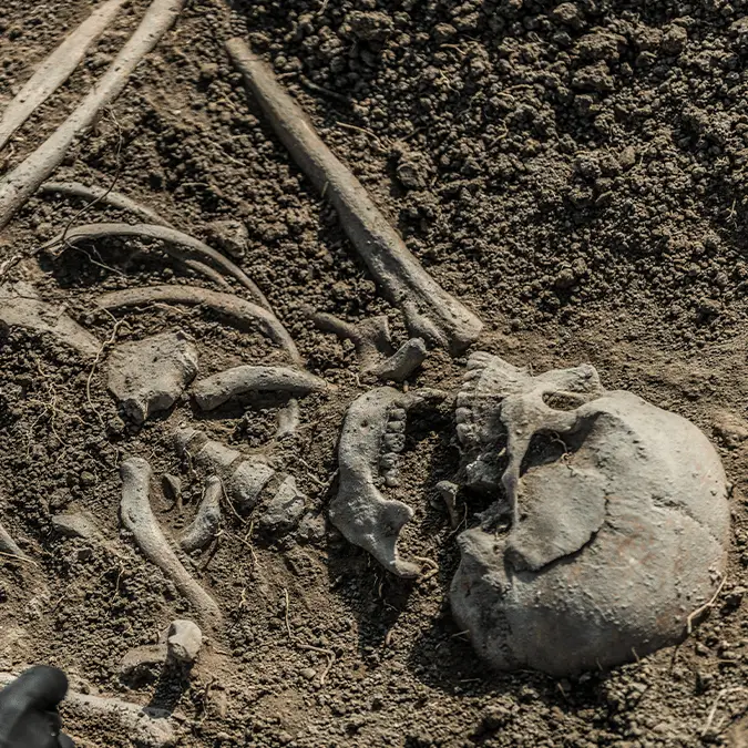 MICROGEN IMAGES/SCIENCE PHOTO LIBRARY via Getty