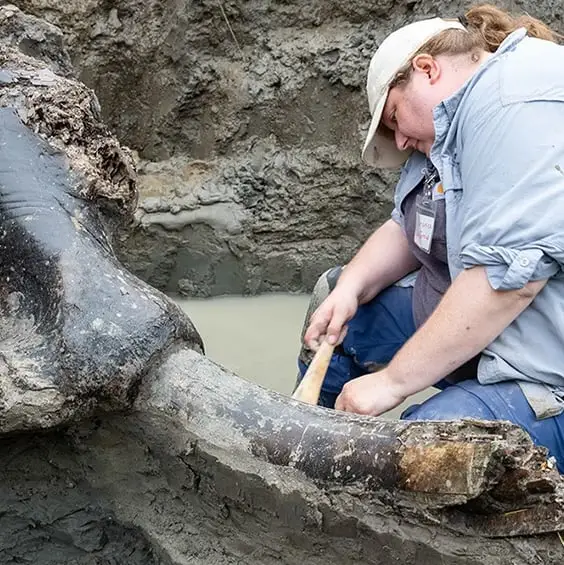Archaeologists uncover 13,600-year-old treasure in incredible breakthrough