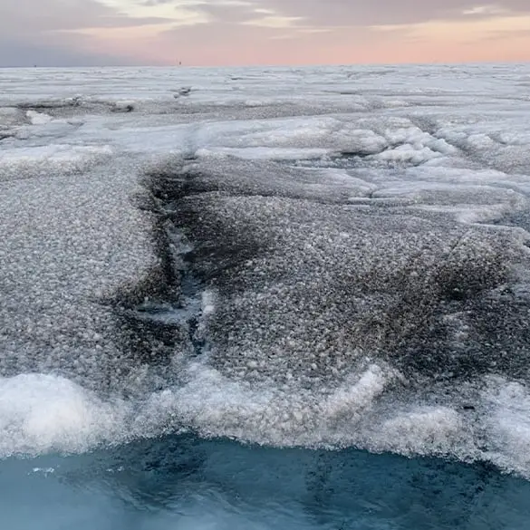 Giant viruses found on Greenland ice sheet could have a secret power 