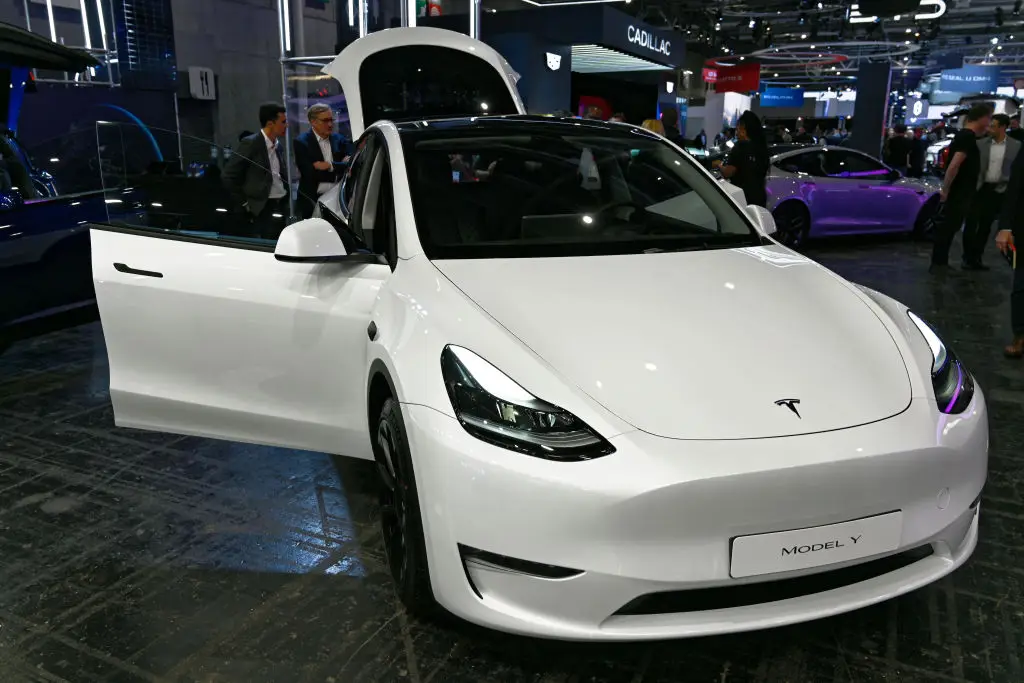 The Tesla owner had to fork out on repairs (Daniel Pier/NurPhoto via Getty Images)