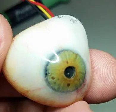 The eye can film up for up to 30 minutes at a time (Rob Spence)