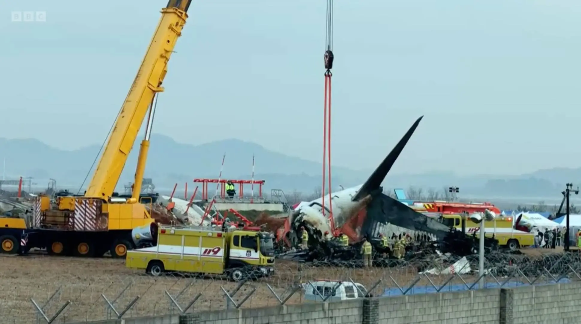 Bird strikes are only growing in number (BBC)