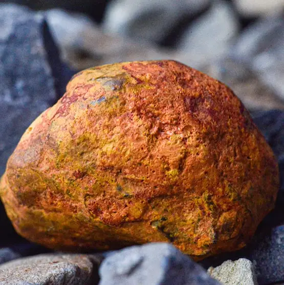 Lucas Ninno/Ianm35/Getty 