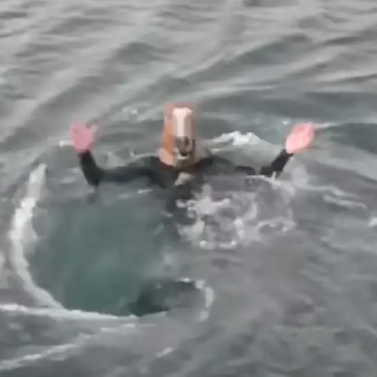 Ray Massey/Getty Images/Jacob Cockle