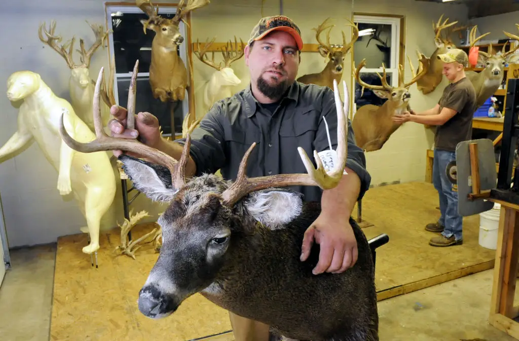 Hunters have been warned about the dangers of CWD (MediaNews Group/Reading Eagle via Getty Images / Contributor / Getty)