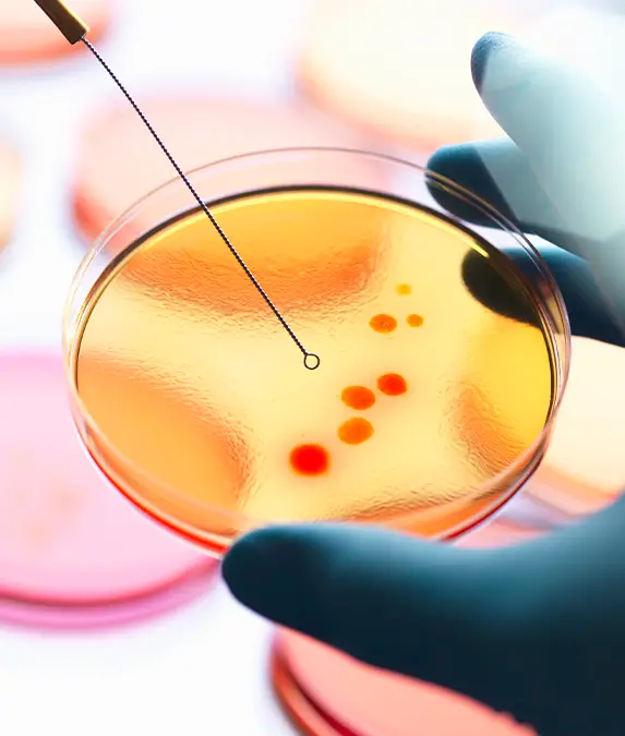 The study may be able to explain early evolution theories / Andrew Brookes / Getty