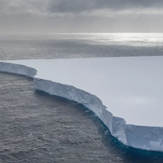 Handout / Handout / Getty