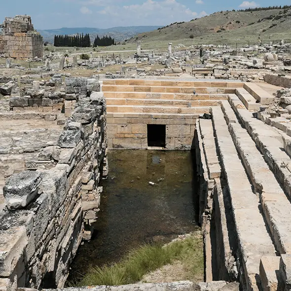 Anadolu / Contributor / wildart / Getty