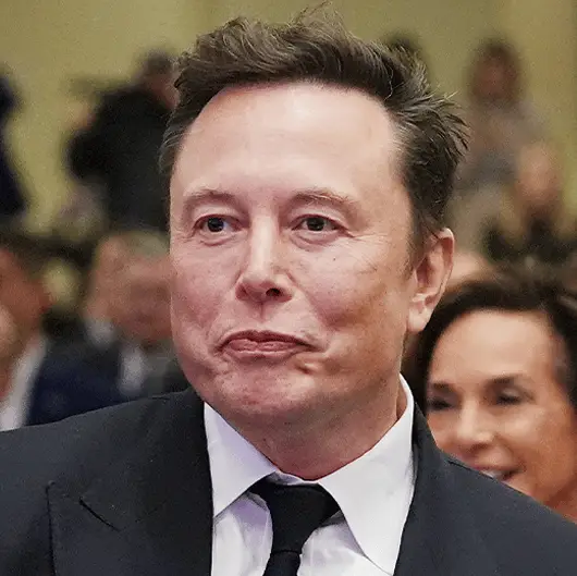 Elon Musk’s close family member 'confirms' billionaire’s interest in purchasing huge Premier League football club