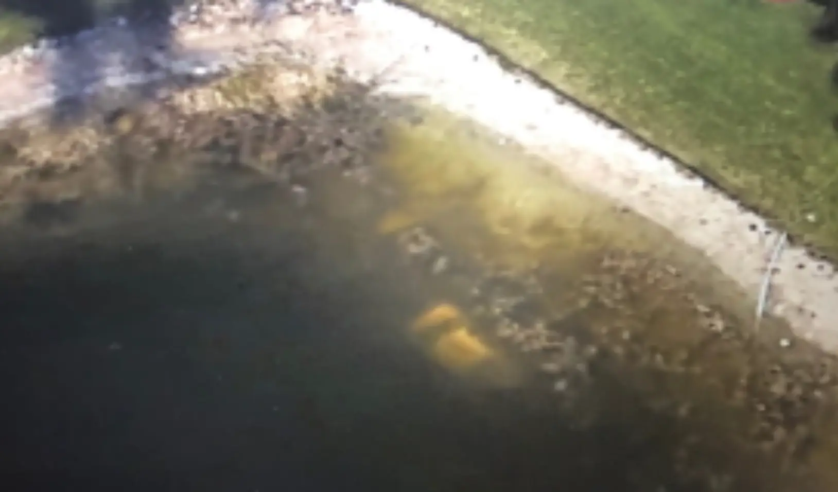 The car was visible on Google Earth but no one knew it was there until someone went searching for their own home on the virtual globe (William Moldt (The Charley Project/Google Earth)