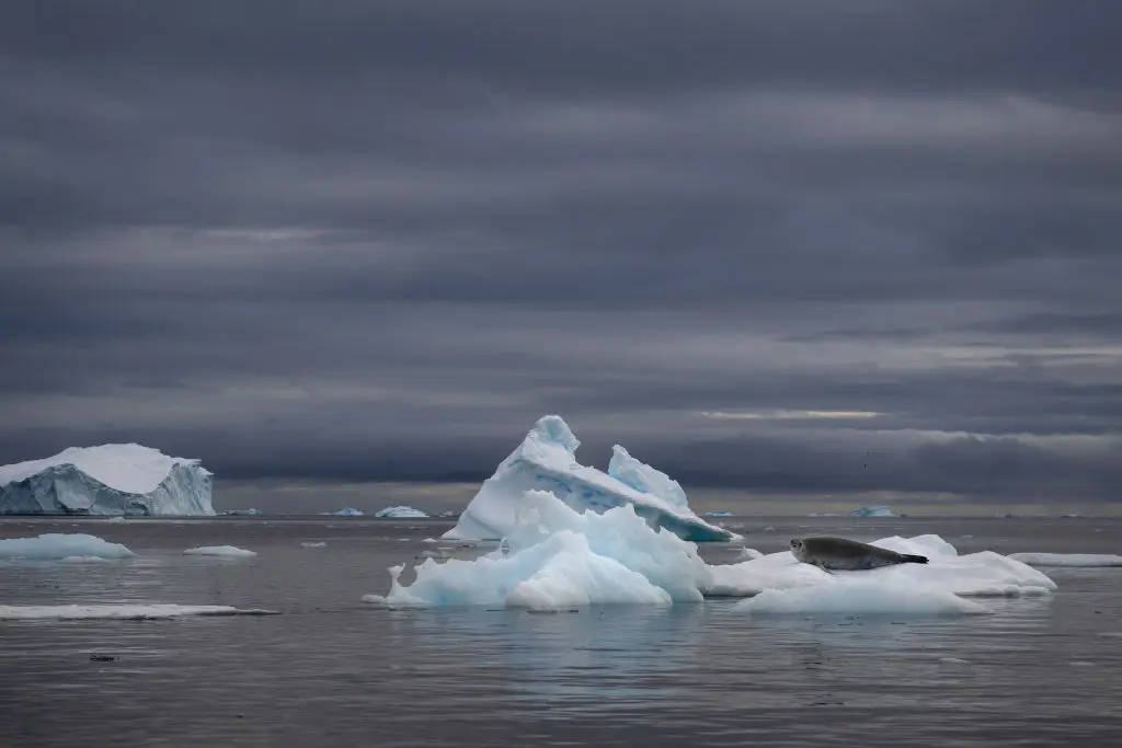 Anadolu / Contributor / Getty
