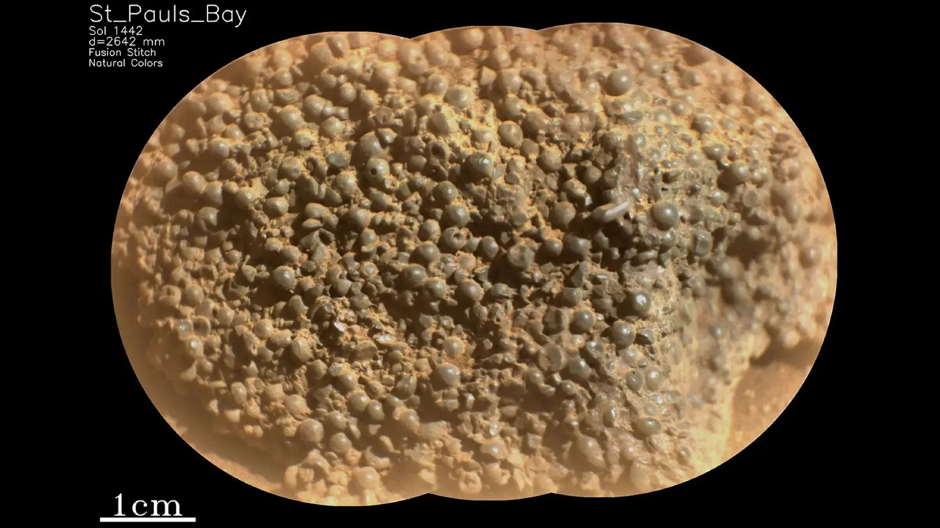 The rock could be linked to Mars’ 4.6 billion-year-old past / NASA/JPL-Caltech/LANL/CNES/IRAP