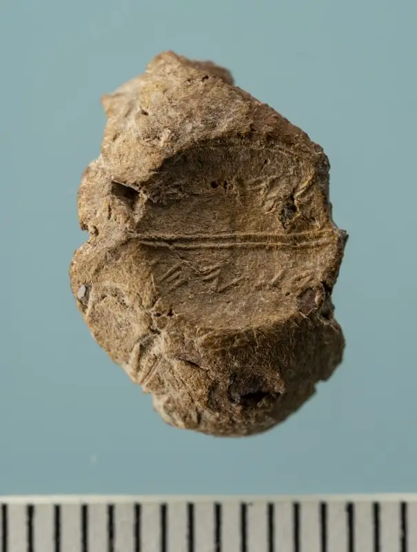 The seal references names from a key early biblical tale referencing a doomsday event (The Temple Mount Sifting Project)