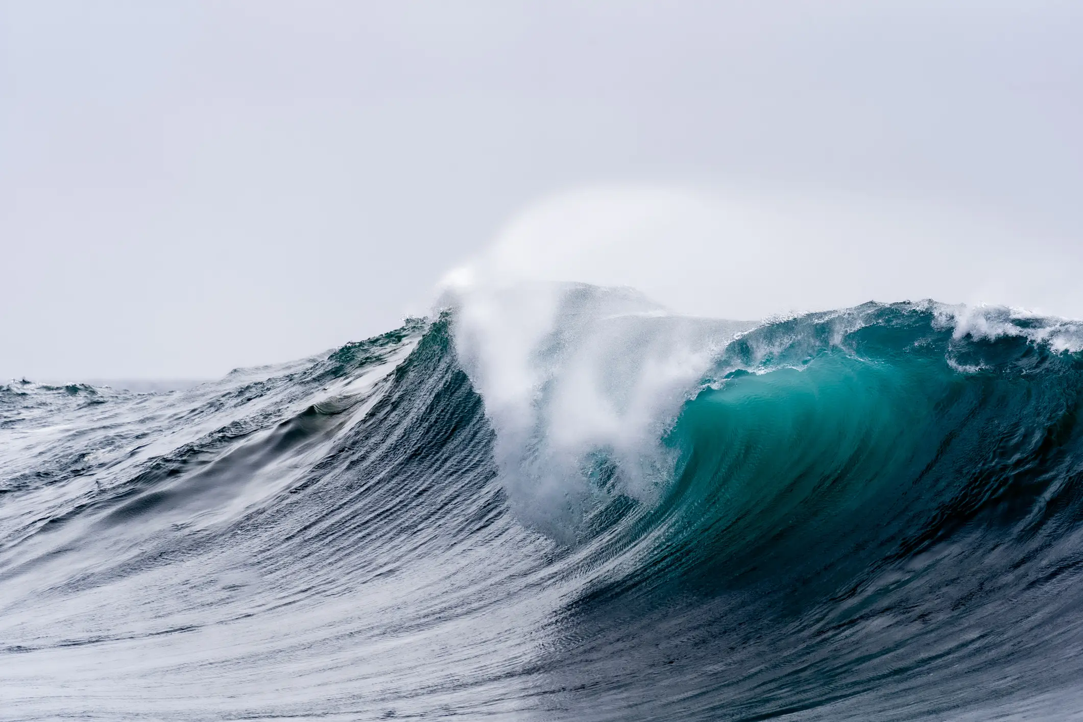 Global ocean temperatures have now reached an all time high (albertolp/Getty Images)