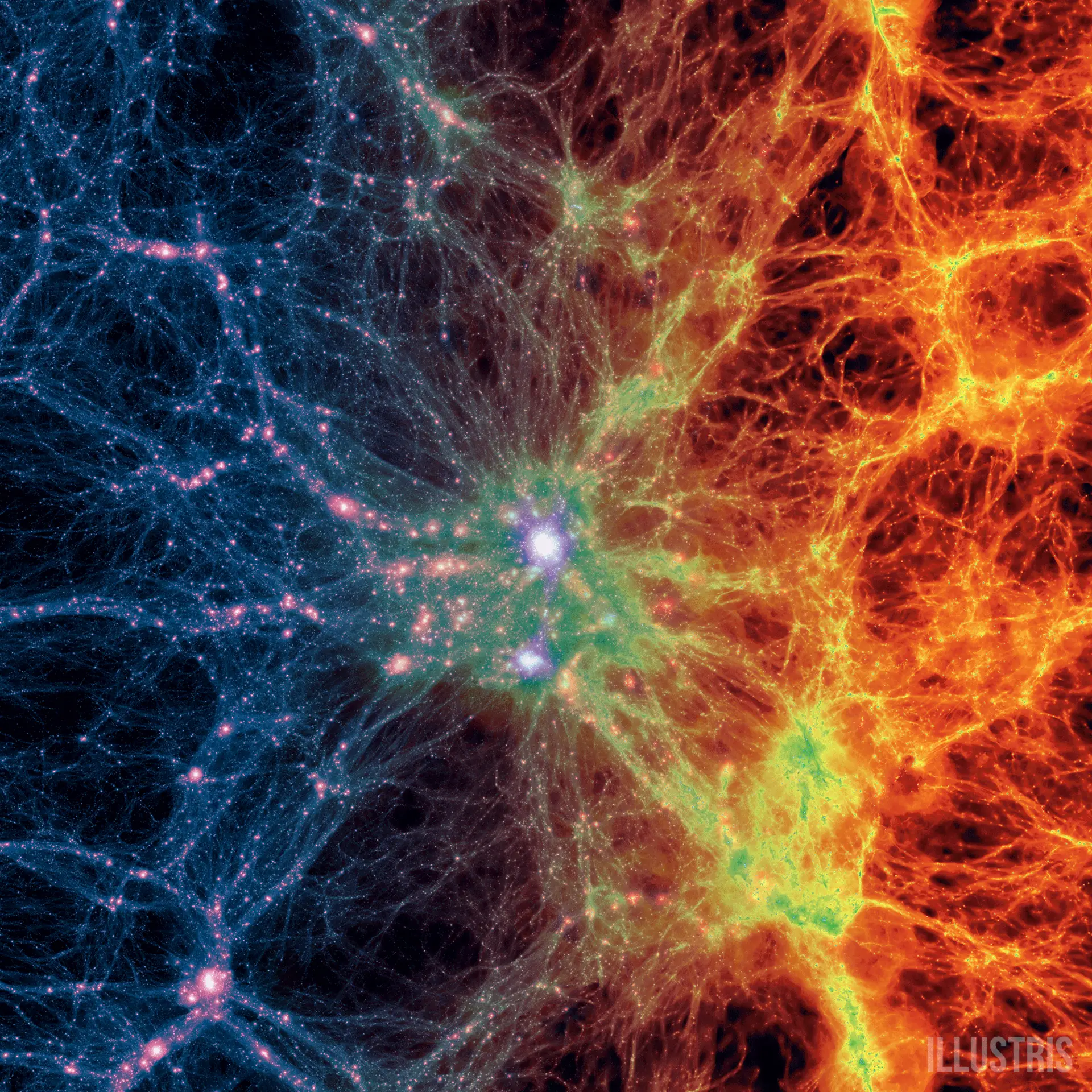 The discovery has unlocked new secrets of the cosmic web (ESA)
