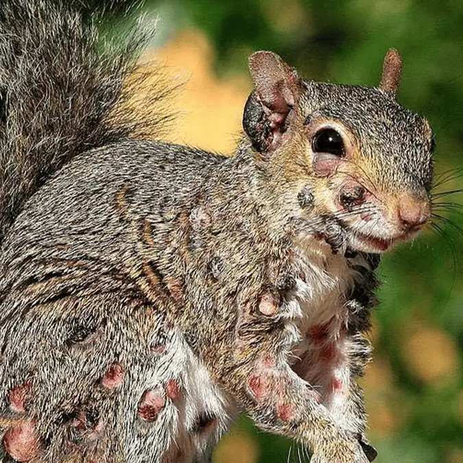 Facebook/Evelyn's Wildlife Refuge