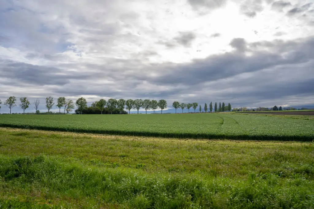 Auvergne officials have prevented Dupont from mining his land, and local environmentalists have expressed concerns about disruption (Antoine Boureau/Hans Lucas/AFP via Getty Images)
