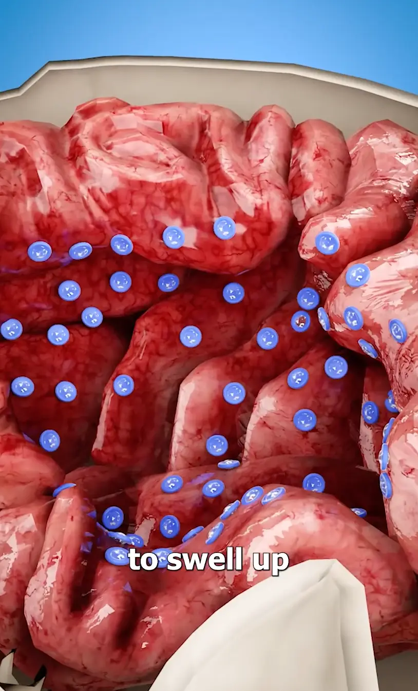 Too much water can cause your brain cells to swell which in extreme cases can kill you (YouTube/Zack D. Films)