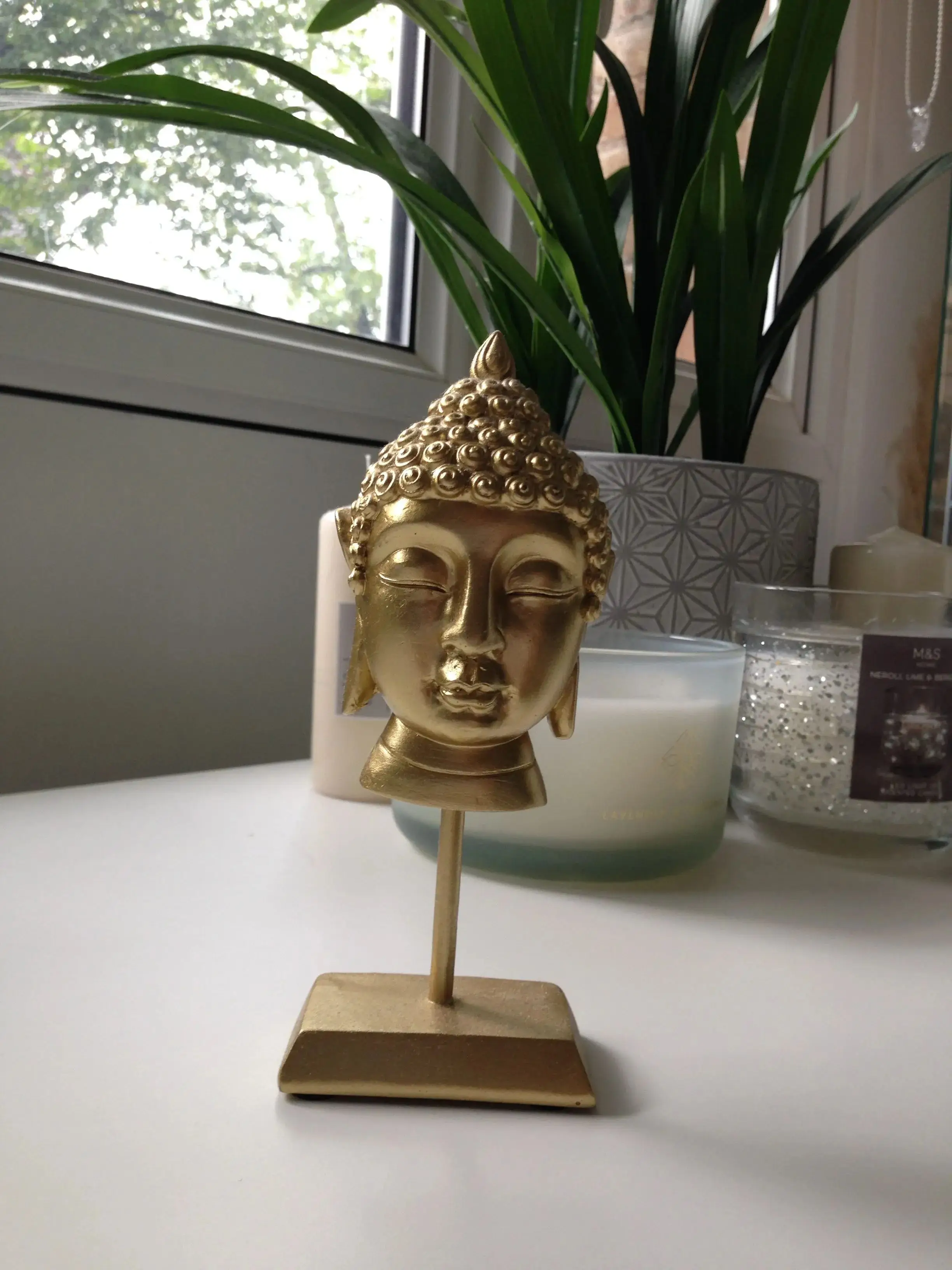 Taken on the iPhone 5c