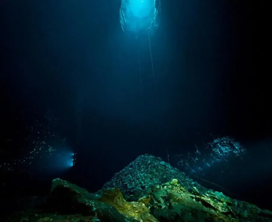 NeighborEnabler/Reddit