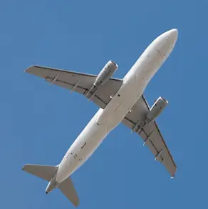 Gudella / Diy13 / Getty