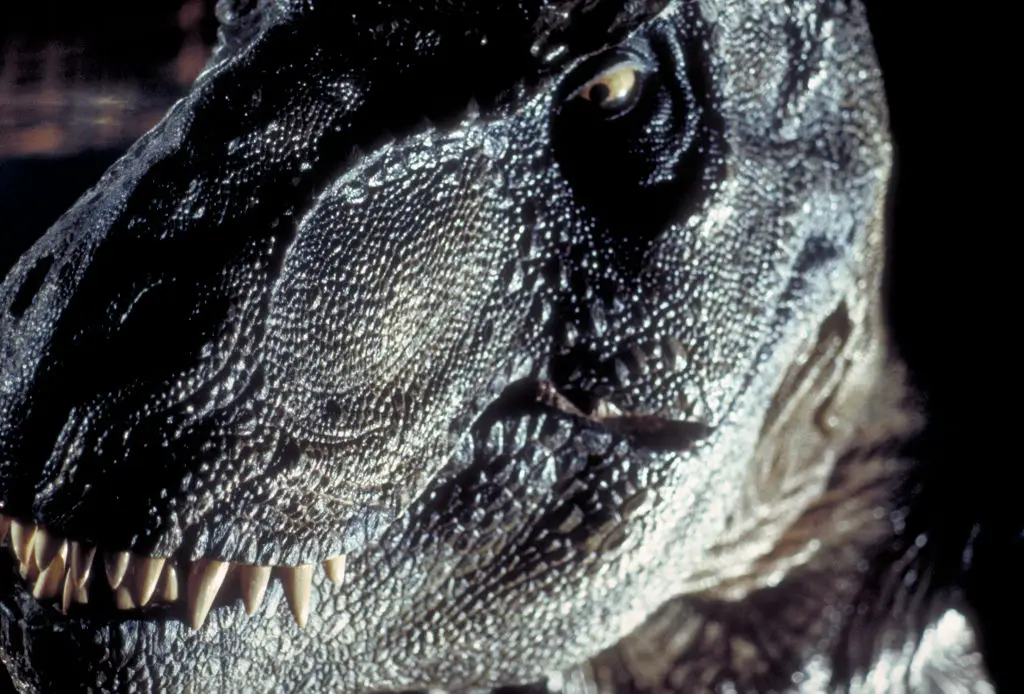 Is this the closest we'll get to a modern day Jurassic Park? (Murray Close/Getty Images)