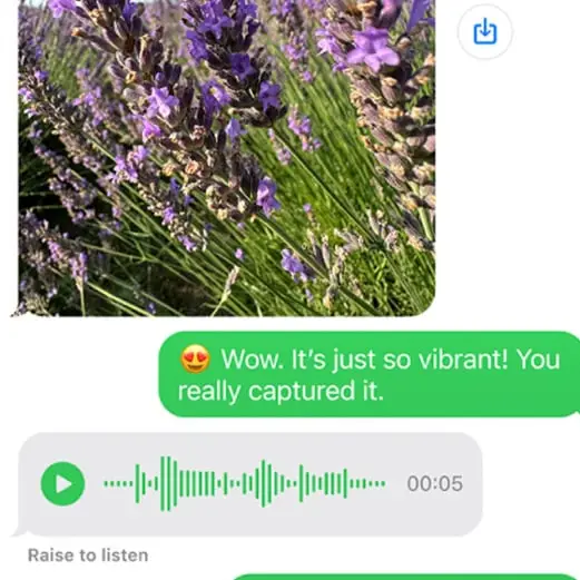 Huge new iOS 18 feature will drastically change iPhone messaging but you have to turn it on yourself after updating