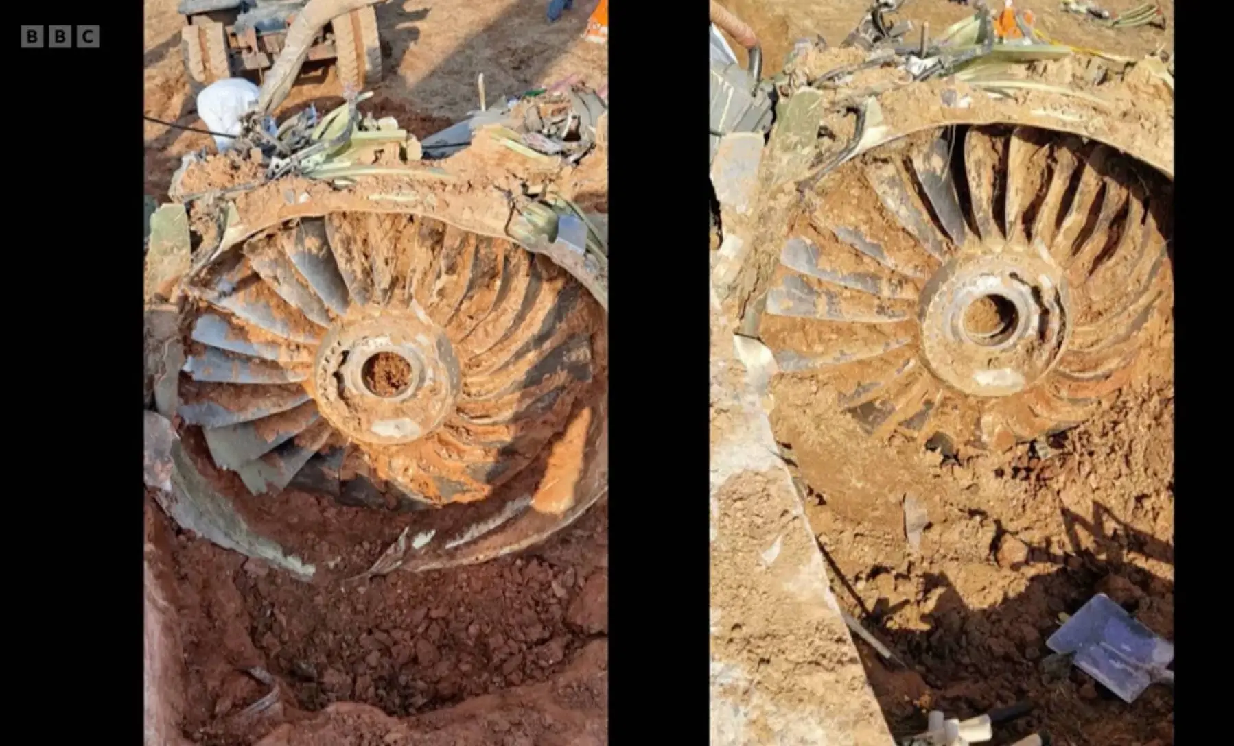 Bird strikes can be a deadly cause of plane crashes (BBC)