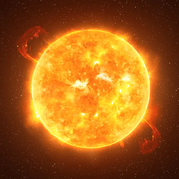 dzika_mrowka / ANDRZEJ WOJCICKI/SCIENCE PHOTO LIBRARY / Getty