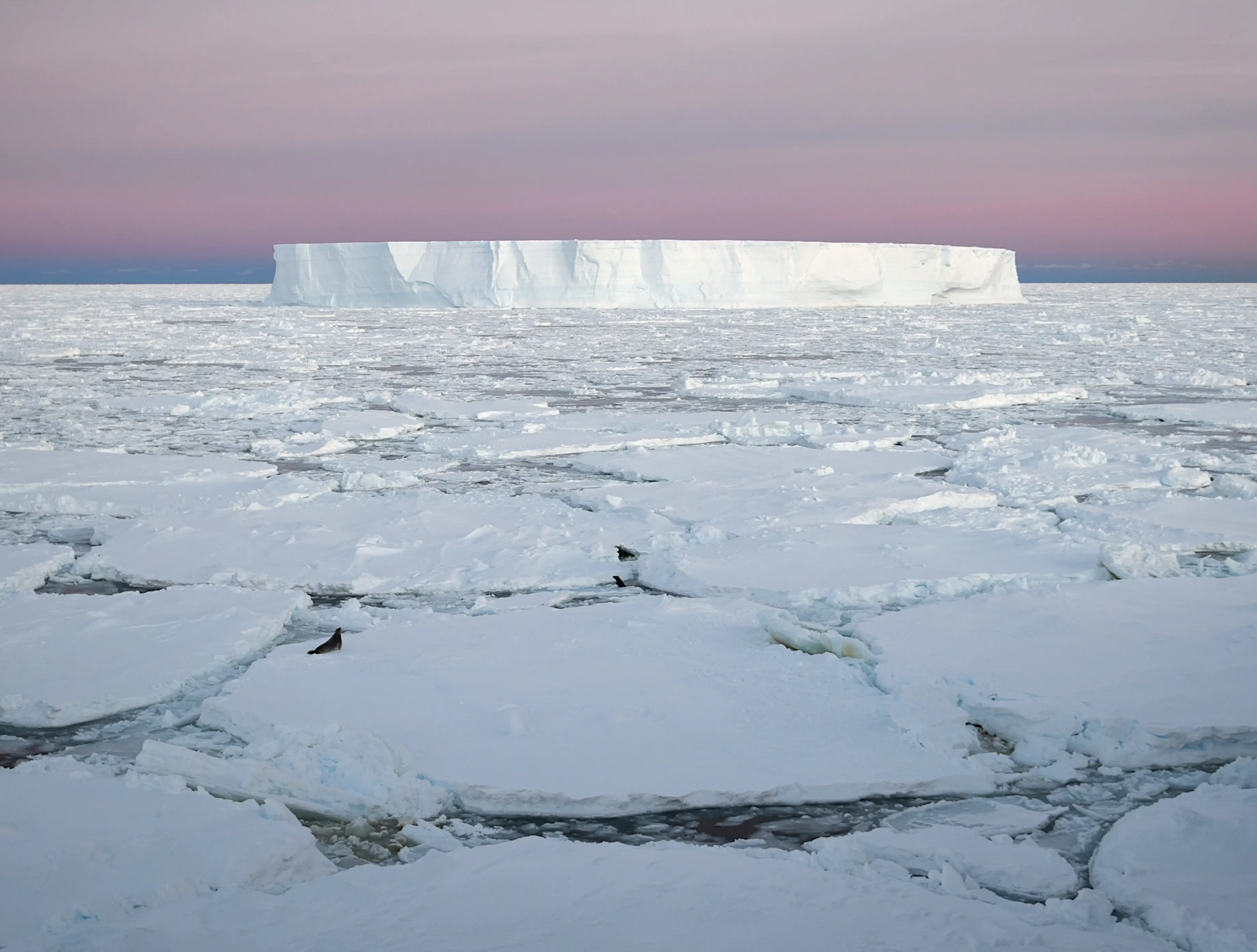 The collapse of the Thwaites Glacier will come with devastating consequences for the entire planet (Jeff Miller/Getty Images)