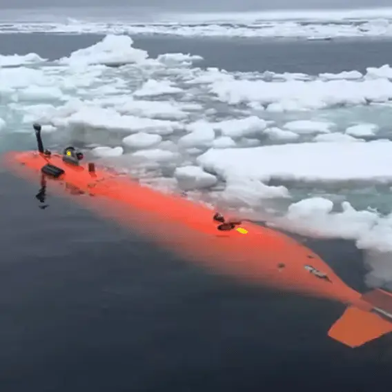 Anadolu / Contributor / Getty / UNIVERSITY OF GOTHENBURG