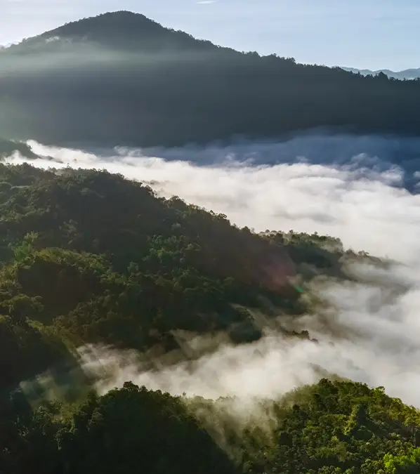 Constantine Johnny / Getty