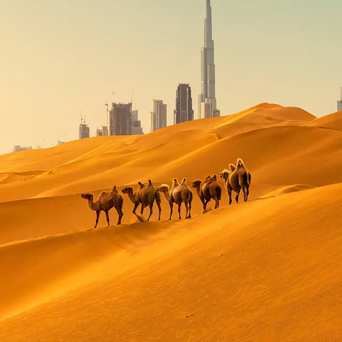 owngarden/Getty Images