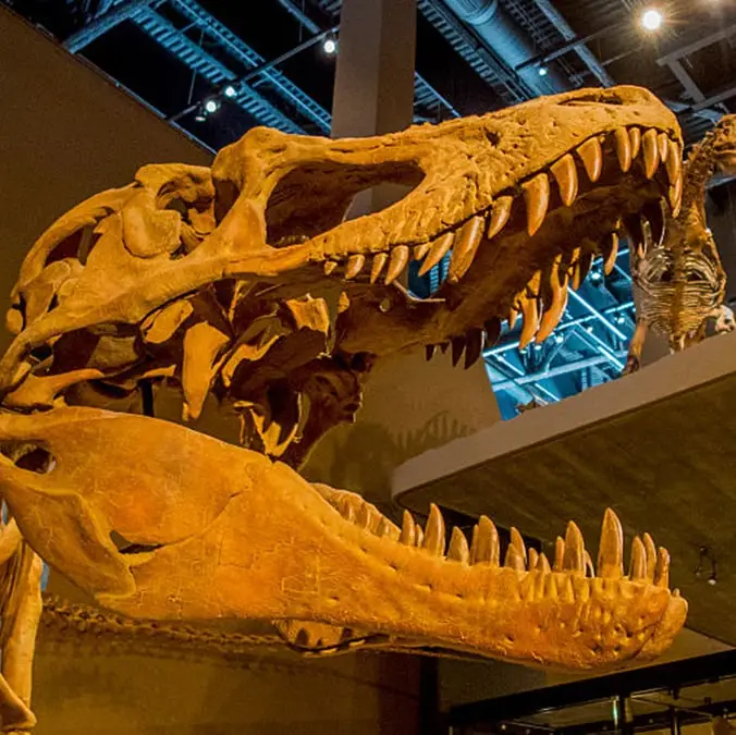 Wolfgang Kaehler/LightRocket via Getty Images