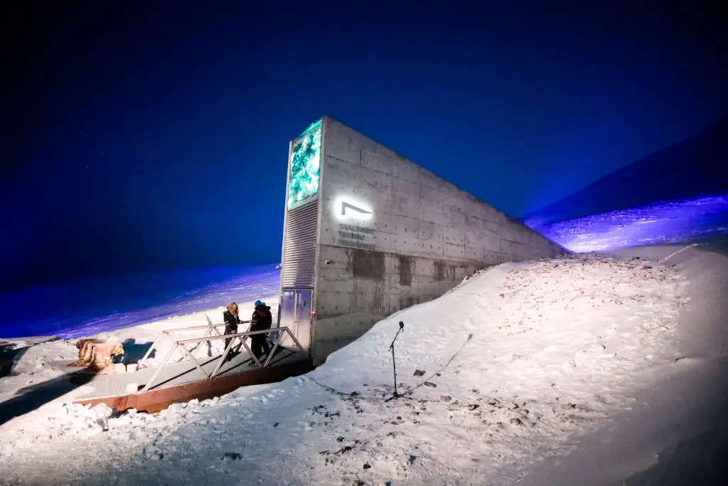 The vault can be found in the Arctic (LISE ASERUD/NTB Scanpix/AFP via Getty Images)