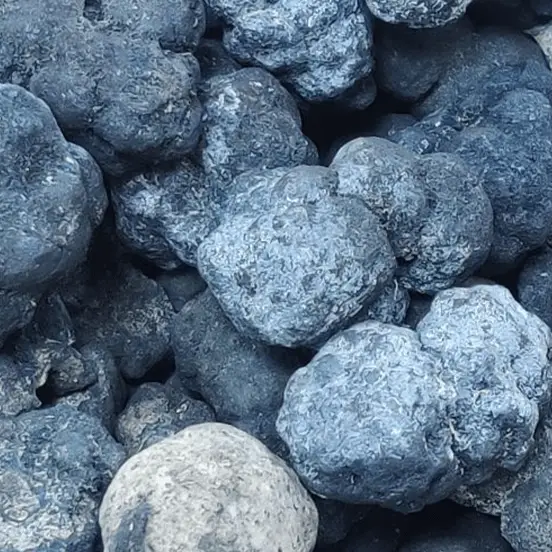 Discovery of 'dark oxygen' over 13,000 feet deep in the ocean could rewrite the rules of evolution