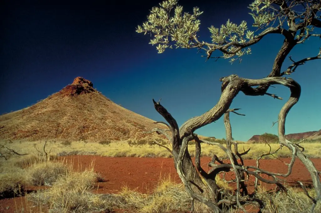 Western Australia is peppered with impact craters (Auscape / Contributor / Getty)