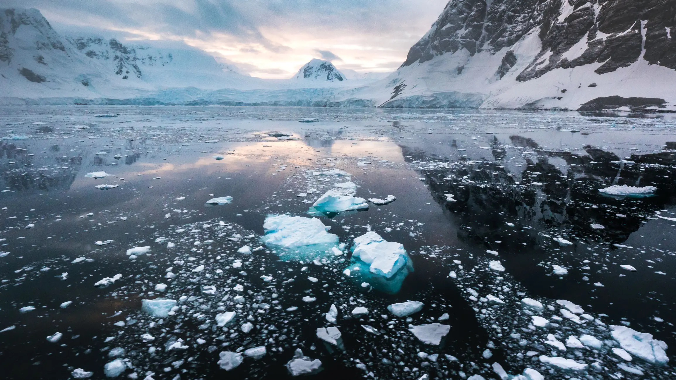 Concerns are being raised about the lack of sea ice in a region of Antarctica (Ruben Earth/Getty Images)