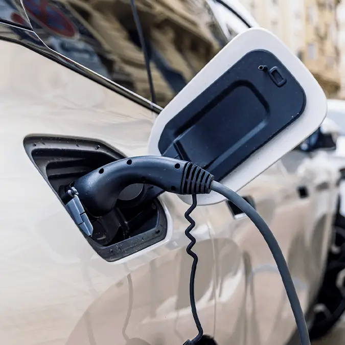 Alexander Spatari / Getty