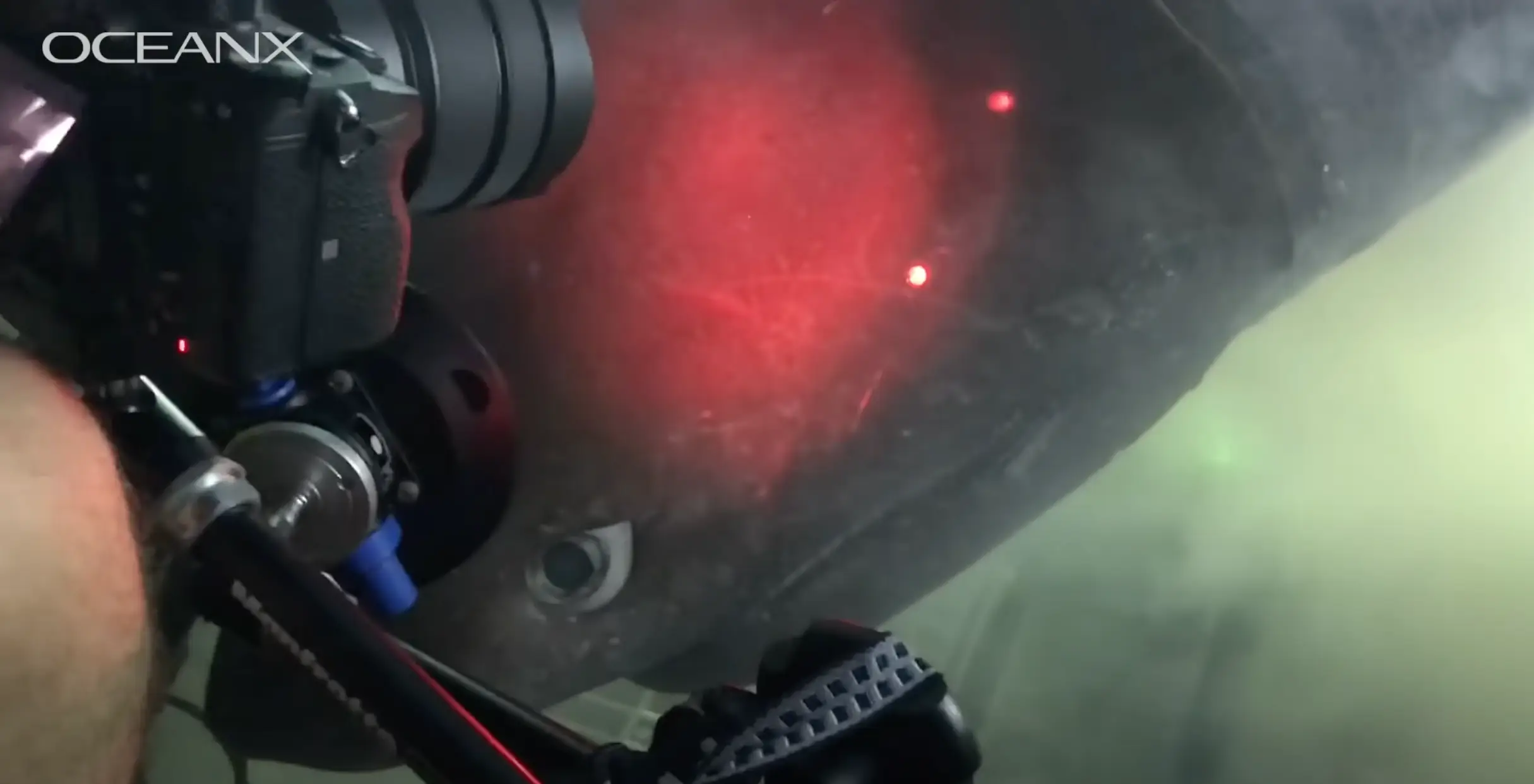 Close up of the shark's eye was eerily human-like (OceanX/YouTube)