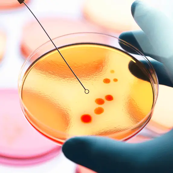 Scientists make breakthrough in process of creating artificial life in the lab