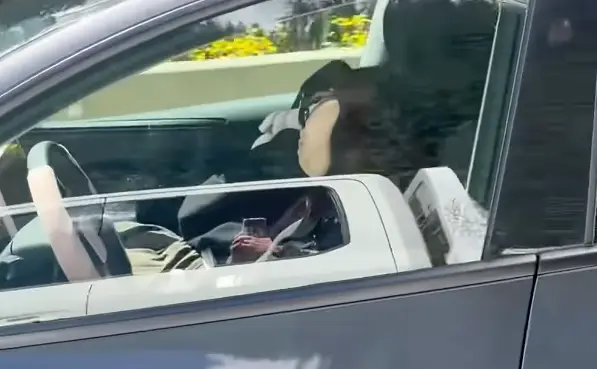Both falling asleep at the wheel and operating FSD without being in control could leave the woman in trouble with the police (Facebook/Carleigh King)