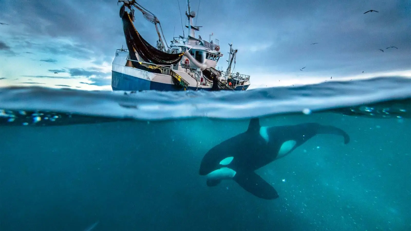 The Pale Blue Dot might not be an accurate name for Earth (BBC)