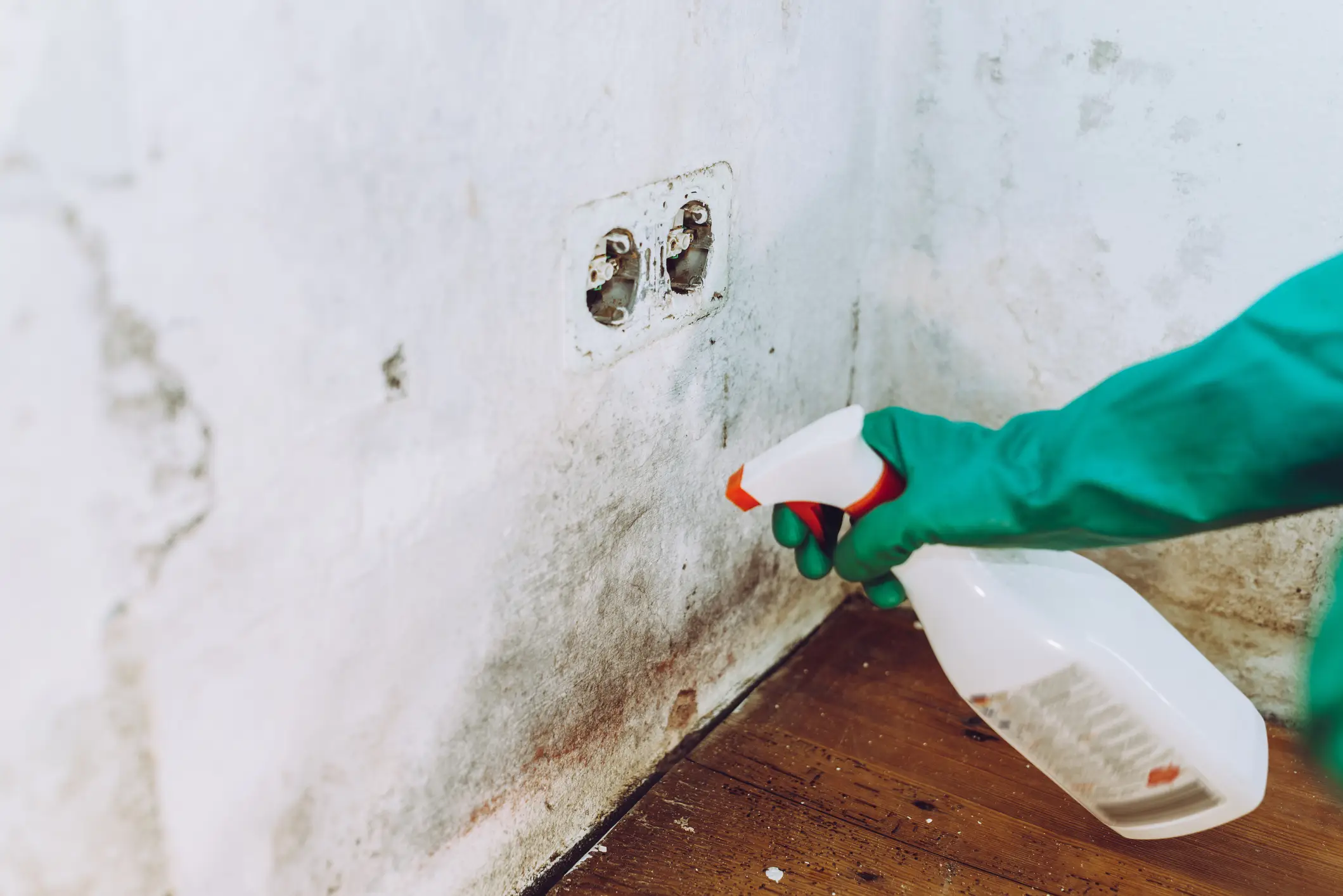 Mould exposure can cause various symptoms (Guido Mieth/Getty Images)