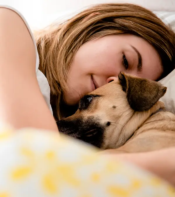 Our pets can bring all sorts of unwanted guests into our home / Carlos Ruben Hernandez Blasco/ Getty