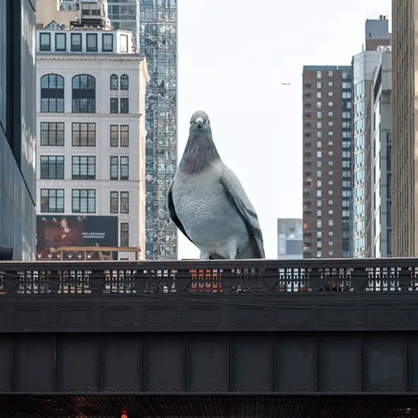'Frightening' T-Rex-size pigeon is coming to New York's High Line