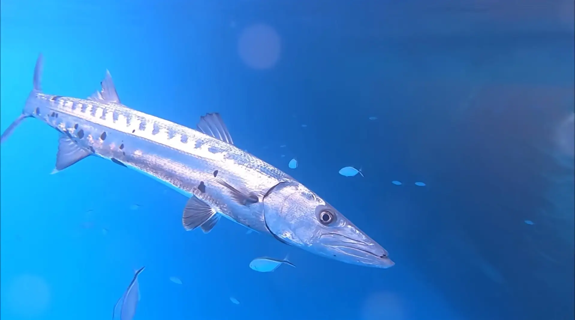 Odysseas Froilan / YouTube