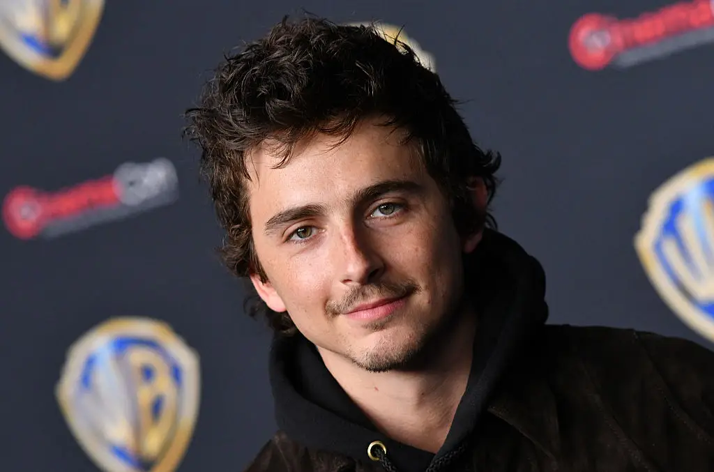 Timothee Chalamet's ballet and theater comments didn't land well (Photo by Chris Delmas/AFP via Getty Images)